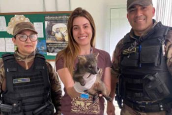 Sem Título-1 Sem Título-1