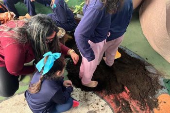 Sem Título-3