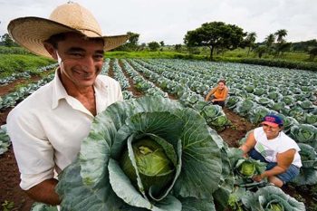 agricultura familiar capa