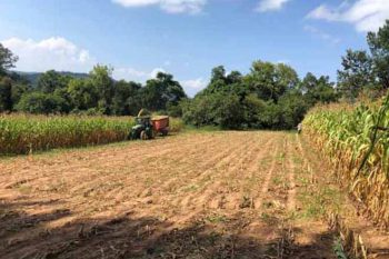 agricultura gravataí