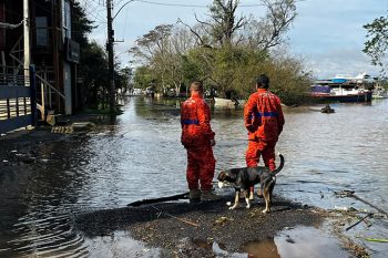 defesa civil canoas enchente 2026