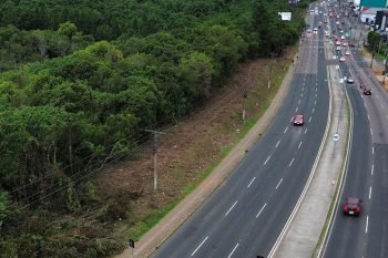 Vegetação foi cortada perla RGE na segunda-feira