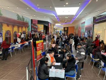 feira empregabilidade emprego gravataí feira empregabilidade emprego gravataí