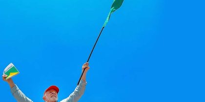 lula bandeira brasil capa