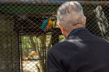 Nedy de Vargas Marques, em uma visita ao mini zoo de Canoas durante o período em que esteve à frente do governo: tática da defesa pode frente a frente os atuais maiores desafetos da política da cidade. Foto: Arquivo