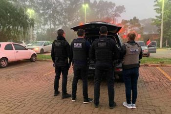 operação crimes virtuais sexuais PR e RS