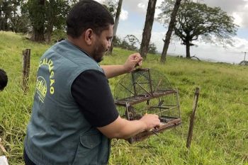 operação rapina