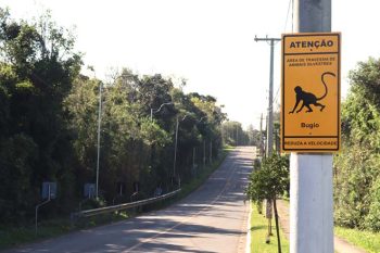 placas animais silvestres gravataí
