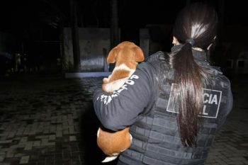 Imagem divulgada pela Polícia Civil em fase da Operação Carrasco