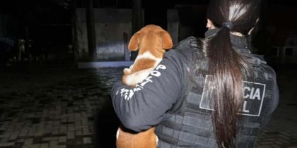 Imagem divulgada pela Polícia Civil em fase da Operação Carrasco