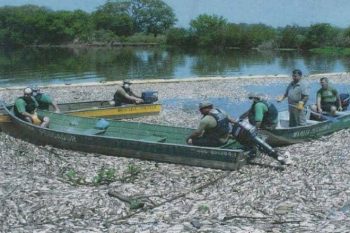 rio dos sinos tragédia ambiental capa