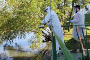 Pesquisa mostra que desacelerou detecção de carga viral de coronavírus em esgotos na Grande Porto Alegre