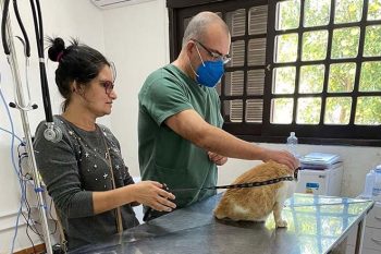 Saiba como acessar os serviço gratuitos