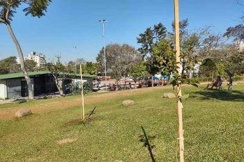 Ação faz parte do projeto Arborização Mais Segura