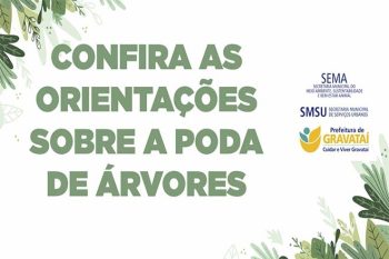 Durante os meses de maio, junho, julho e agosto, fica autorizada poda, de até três metros de galhos, em exemplares não imunes