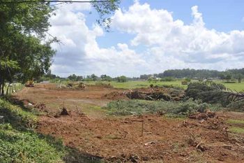 Máquinas começaram ontem a fazer a terraplanagem no terreno com cerca de 26 mil metros quadrados onde vai ser construído o atacadão dos Zaffari de Passo Fundo.