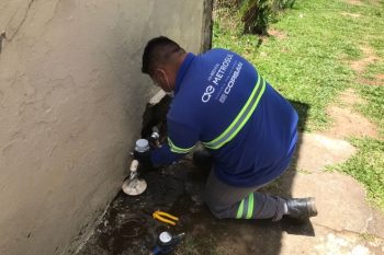 Trocas começaram em dezembro do ano passado e são feitas sem custo para os usuários. Foto: Divulgação/Metrosul