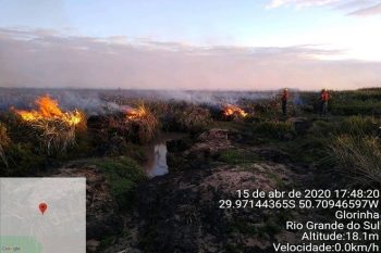 Fogo atinge Área de Proteção Ambiental (APA) Banhado Grande | Foto APNVG