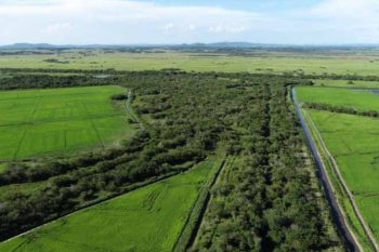 Usuários que fazem captações diretas no Gravataí ou em arroios, barragens e açudes devem atualizar as outorgas de direito de uso