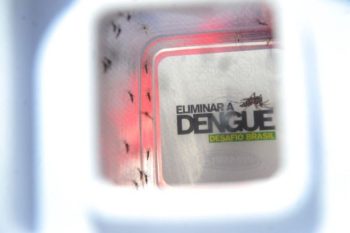 Combate ao focos de procriação do mosquito é a prioridade para evitar que os casos da doença sigam aumentando na cidade. Foto: Agência Brasil