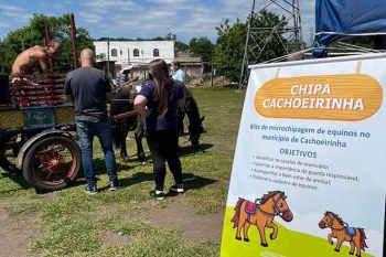 Ação acontece todas as quintas-feiras