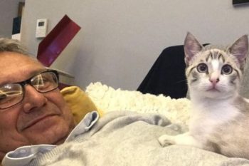 Ex-prefeito, em foto publicada no Instagram, ao lado do gato Sig: o futuro político ainda é tratado apenas nos bastidores. Foto: Reprodução