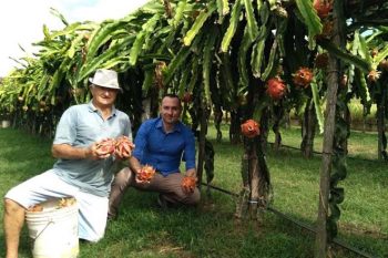 Produtor Ramão Lenczak foi visitado pelo secretário da Agricultura, Denner Gelinger