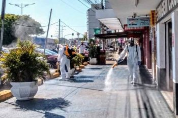 seguinte-68427-noticias73299.jpg