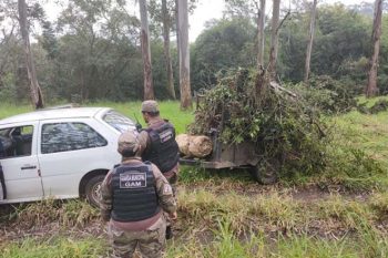 Flagrados estavam depositando podas de árvores e entulhos de obras às margens da Freeway quando foram flagrados pelo Grupamento Ambiental
