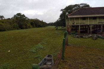 Fenômeno no Rio Gravataí alerta órgãos públicos e ambientalistas