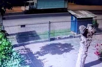 Guarda Municipal já enviou para a Polícia Civil imagens de ataques ocorridos na madrugada de quarta