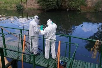 Pesquisa aponta presença de coronavírus em amostras coletadas em esgotos de Porto Alegre e Região Metropolitana