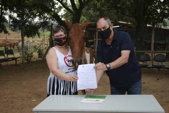 Medida visa reduzir, gradualmente, os veículos de tração animal e propor medidas para a inserção dos condutores no mercado de trabalho