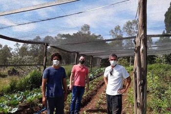 Sistema orgânico de produção garante melhor qualidade de alimentos