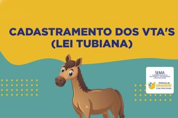 Primeiras ações da Lei Tubiana, de origem da vereadora da causa animal Márcia Becker, ocorrerão nas estradas Municipal e Fazenda Timbaúva