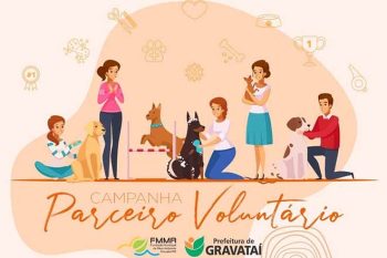 Ação tem como objetivo ajudar na divulgação dos animais para adoção