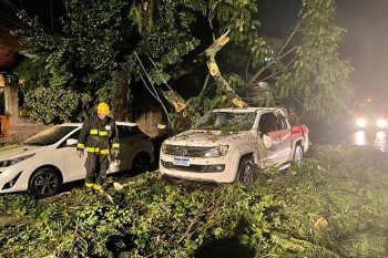 Prefeitura emite laudos em eventos climáticos extremos