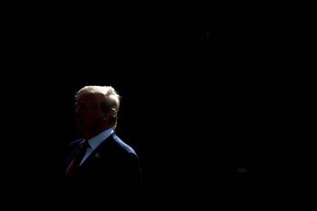 trump sombra